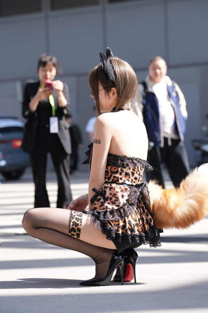 图片[2]-QD4223 套图70张-神兽街拍